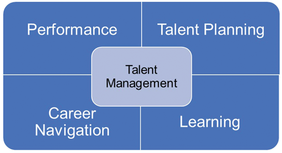 talent management graphic