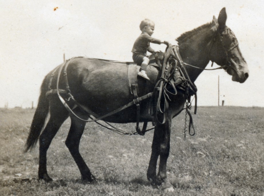 Ron as a child, riding a horse